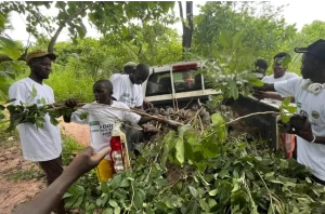 How communities in Kanuma and Betta, West Coast region are restoring forests