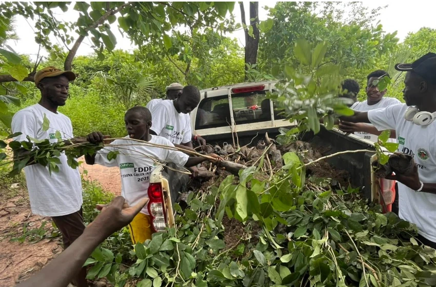 How communities in Kanuma and Betta, West Coast region are restoring forests