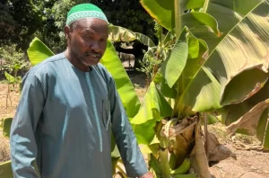 Equipping smallholder farmers in West Coast to grow food and income